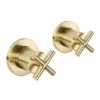 JTP Solex Brushed Brass Wall Mounted Side Valves (Pair)