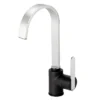 Reginox Amur Single Lever Kitchen Mixer Tap - Chrome & Black