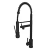 Venice Kitchen Mixer Tap With Swivel Spout & Directional Spray - Matt Black