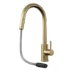 Venice Brushed Brass Kitchen Sink Mixer With Concealed Pull Out Hose And Spray Head